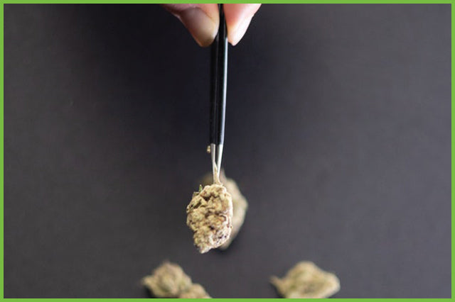 What Is Hemp Flower? Benefits, Legal Status, and Why People Are Smoking CBD-Dominant Strains