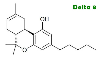 Delta 8 vs. Delta 9: Key Differences, Effects & Benefits